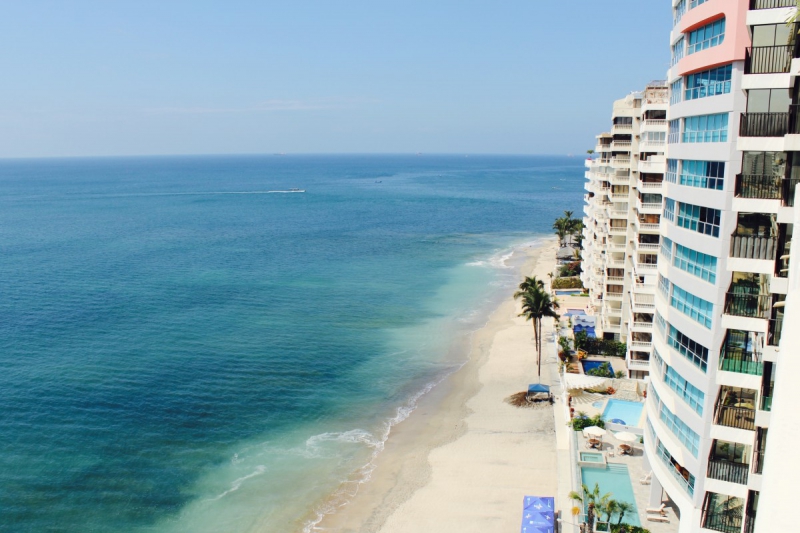 chambre-hote-CAGNES SUR MER-min_beach_ocean_shore_hotel_palm_tree-33726